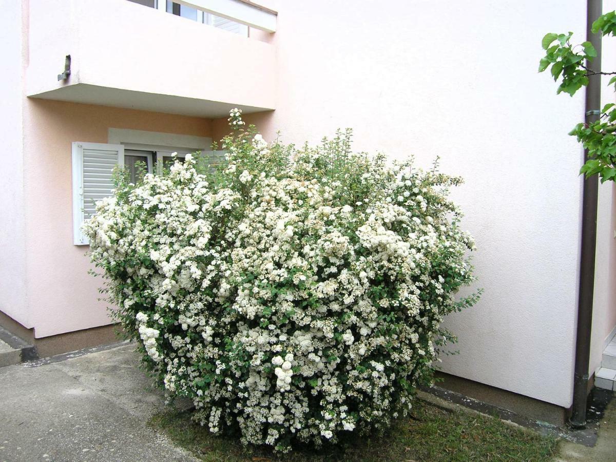 Apartments Sokolovic クルク エクステリア 写真